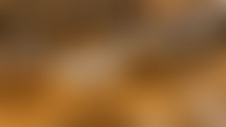 Echizen Lacquerware Special Market [Until May 31st]