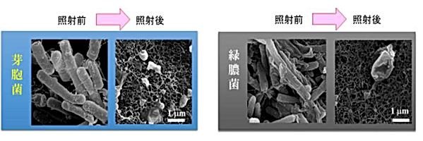 ■■☆会社案内_TL紹介編■改定20201113■ppt -8.tif