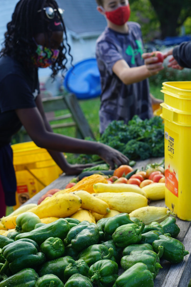 Human Agricultural Co-operative
