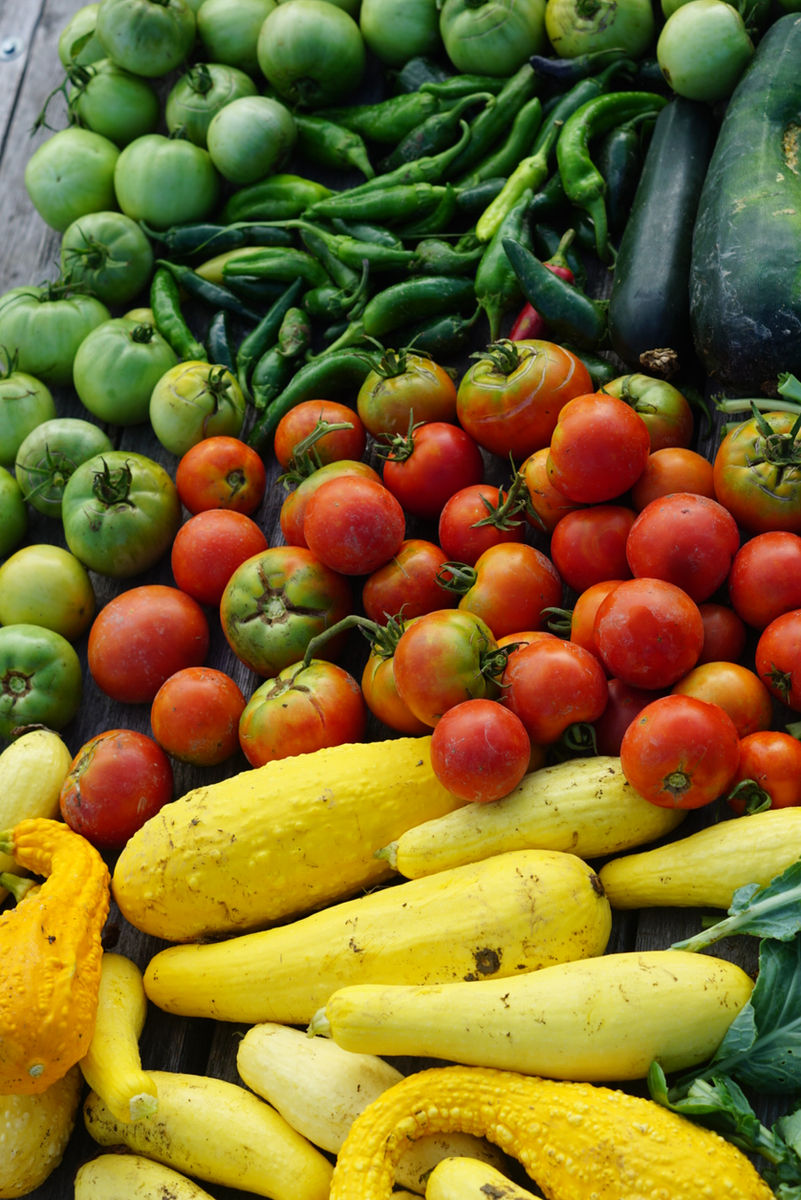 Human Agricultural Co-operative