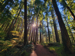 Staying Connected Without Losing Yourself