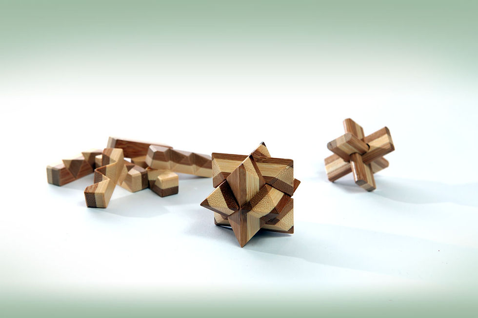 consultants Fragmented Expertise