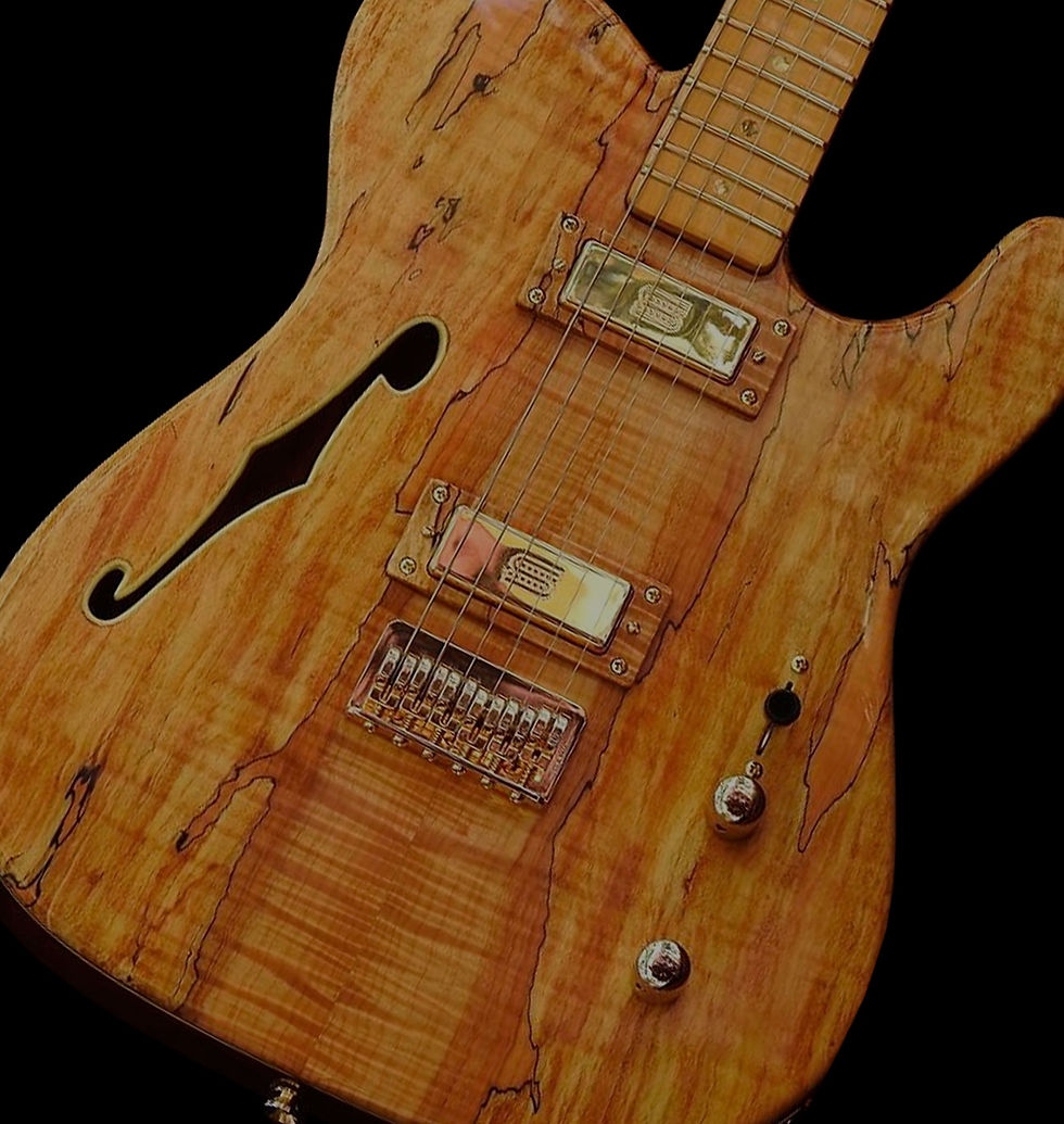 Thinline & Telecaster