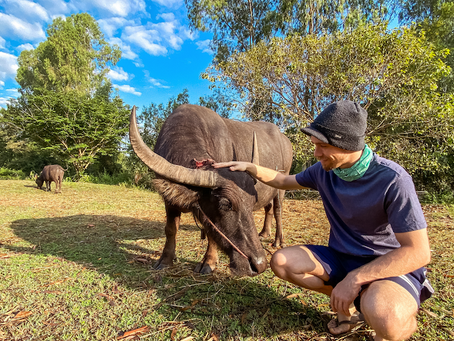 Living On A Farm In Rural Thailand