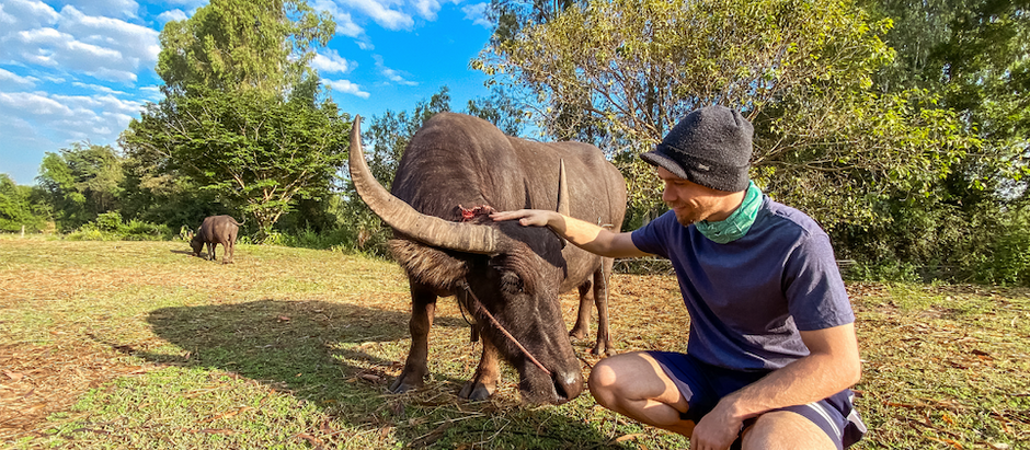 Living On A Farm In Rural Thailand
