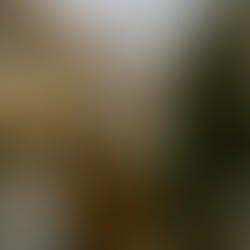 The Rise of Solo Christmas Travel: Where People Go When They Want Company — or Quiet