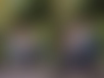 backyard family photo session