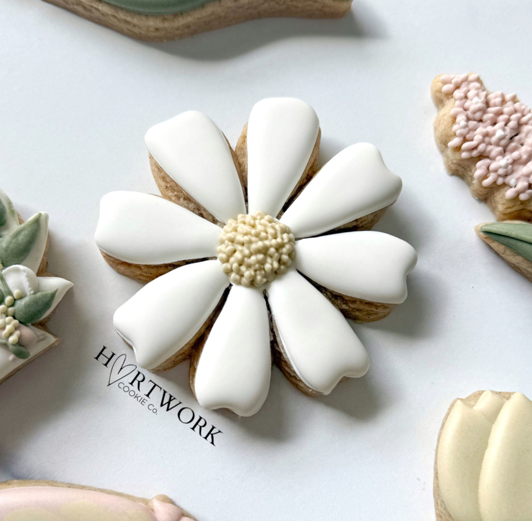 Daisy (varied sizes)