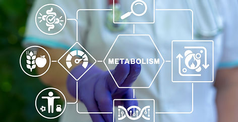 Doctor using virtual touch interface presses word_ METABOLISM. Metabolism Symbiosis Health