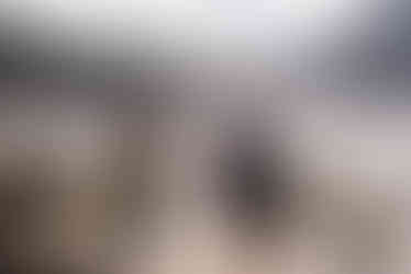 06.25.25_GTG_Oregon_578-2