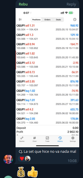 Testimonio Telegram Vertical 2