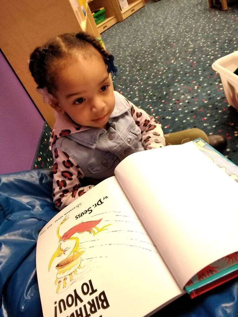 Nest Child Care and Parent Institute Raising Readers Book