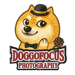 DOGgoFocus寵物攝影LOGO商標