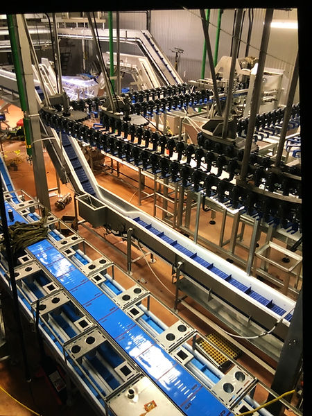 B4CA18FB-DD9F-4D80-8636-9A6002912B0E.jpe