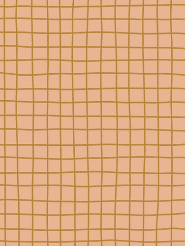 peach_grid.png