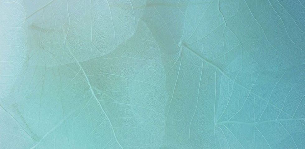 sim-banner.jpg