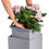 תמונה ממוזערת: CANTO Stone Low
