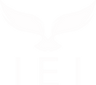 logo final BLANCO IEI.png