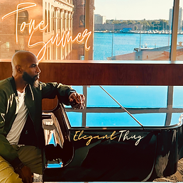 Elegant Thug cover.png