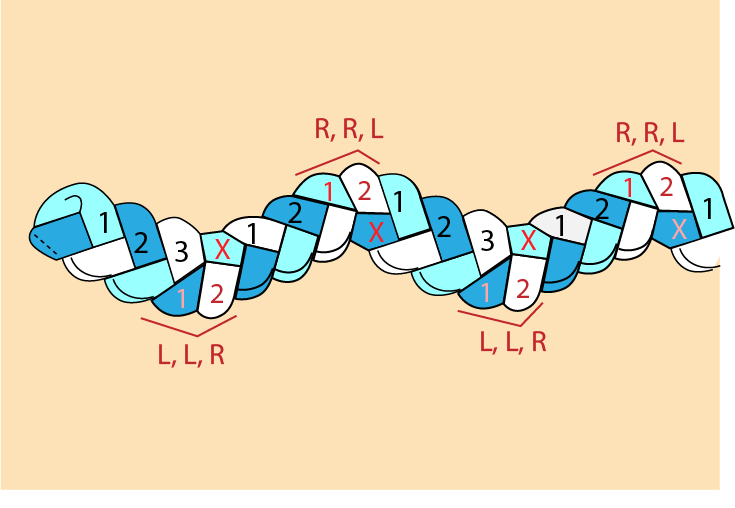 November Guild Meeting