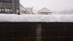 遅ればせながら初雪報告