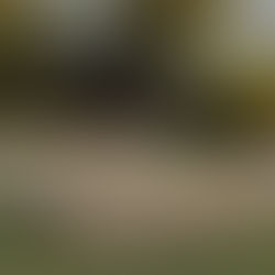 Hochzeitslocation La Villa am Starnberger See – exklusiv heiraten mit Seeblick