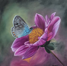 Pink Flower with a Blue Butterfly, Oil Painting
