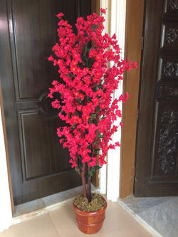 Red Cherry Blossom