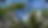 IMG_9136.png