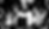CATS-WEB-INICIO_edited.png