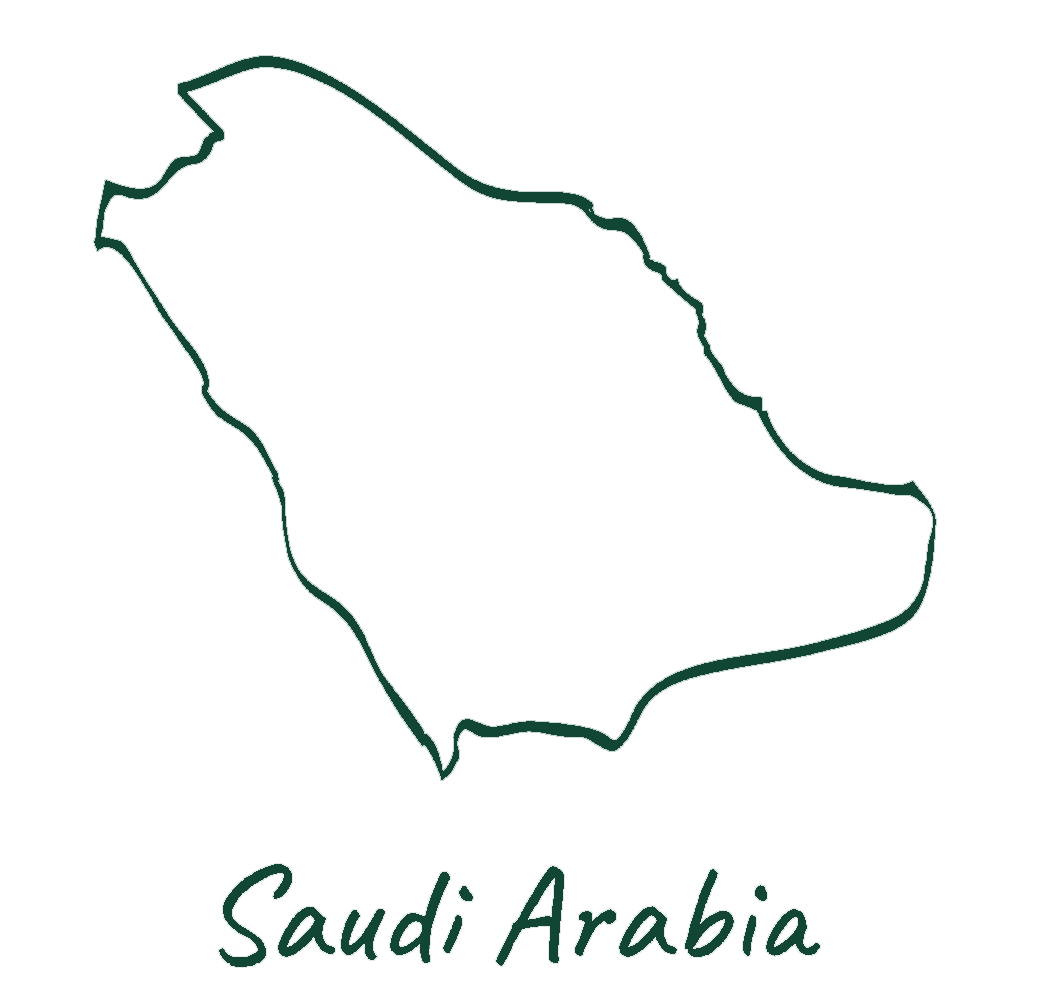 saudi.webp