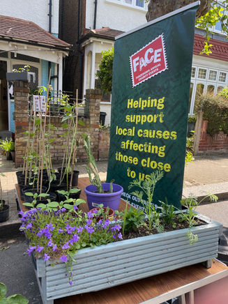 2021 Plant Sale