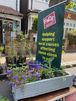 2021 Plant Sale