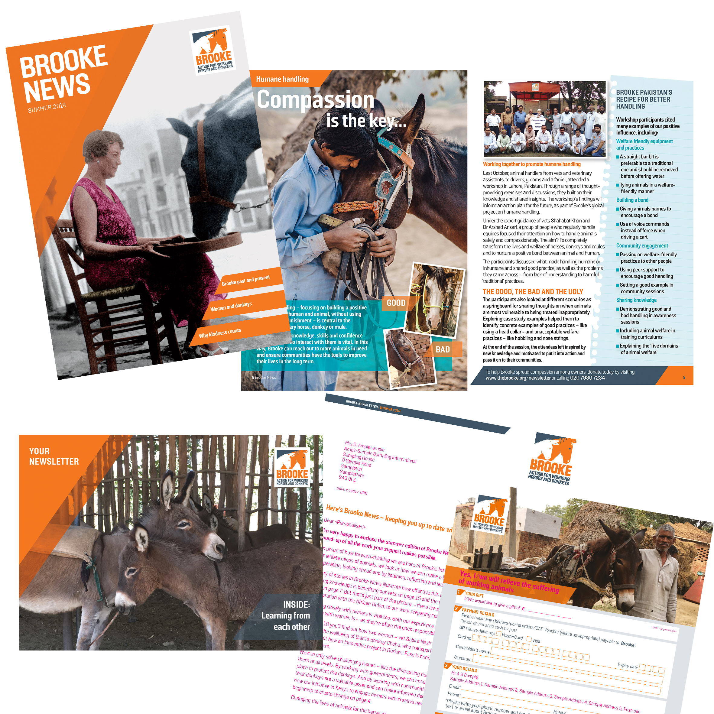 Brooke Newsletters