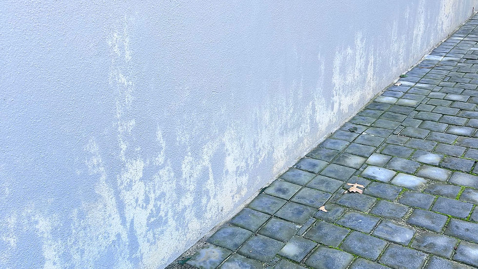 Paint fading