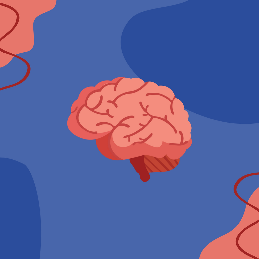 Brain