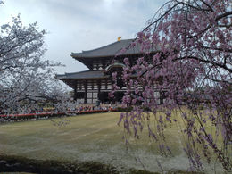 תמונה של WhatsApp‏ 2023-03-27 בשעה 11.39.56.jpg