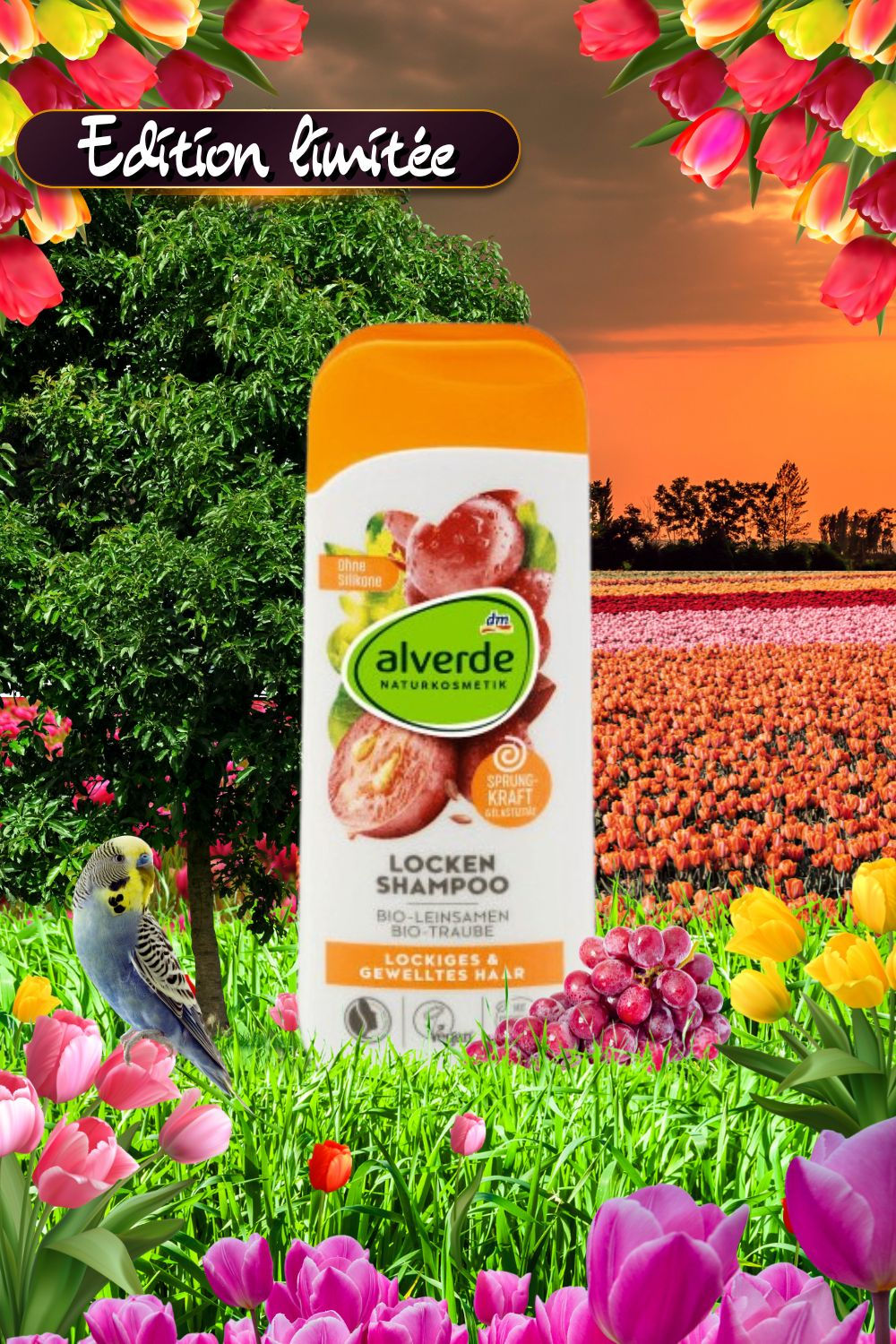 • Shampoing boucles définies et brillantes | Alverde