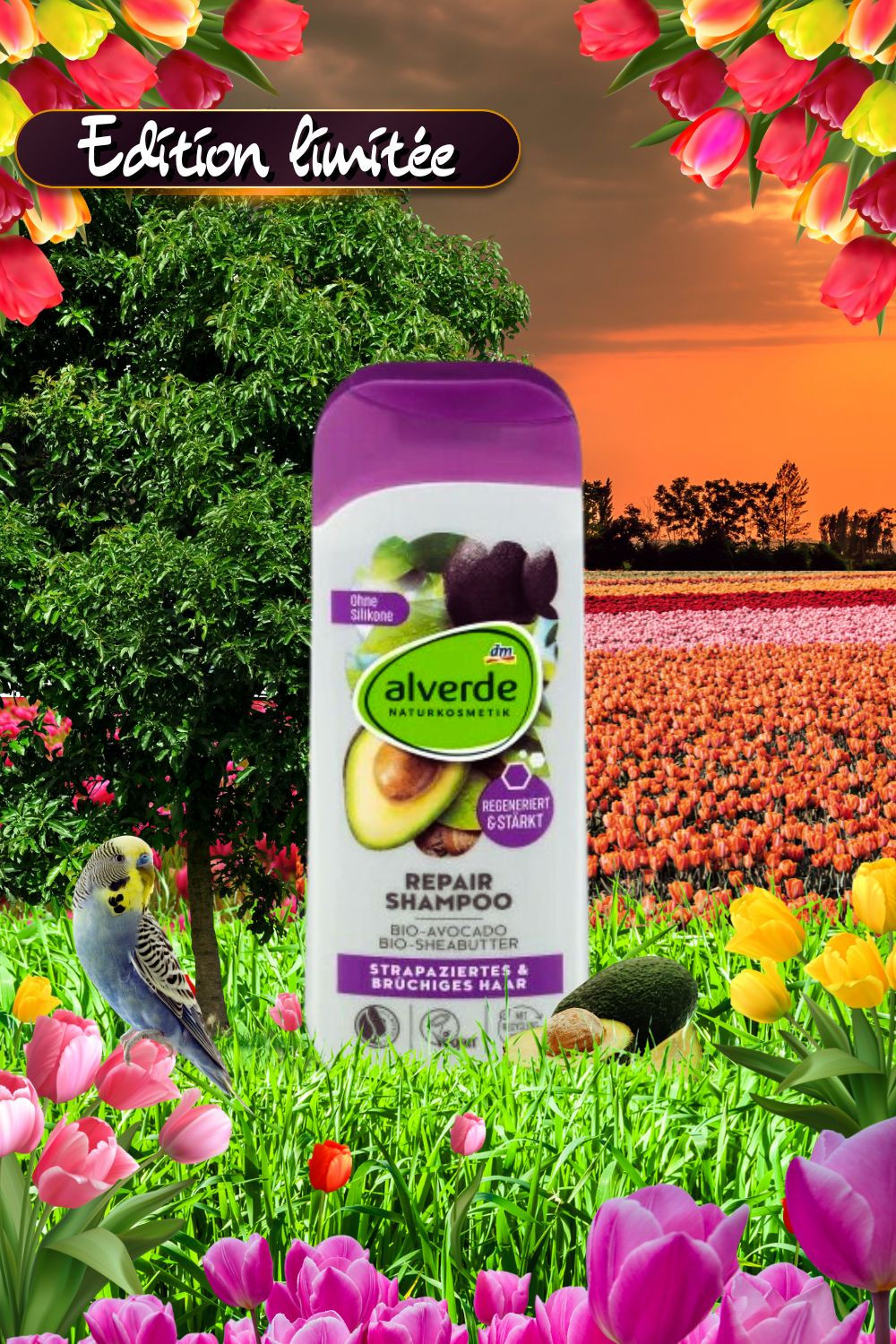 • Shampoing réparateur | Alverde