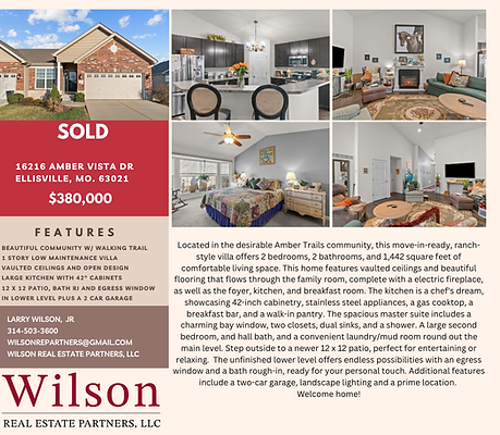 16216 amber vista Dr #1.png