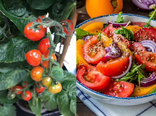 De la terre à l'assiette : Vers une alimentation naturelle ! 