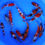 Thumbnail: Mixed Varieties Sample - Tosai