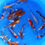 Thumbnail: Long Fin Mix Sample - Tosai