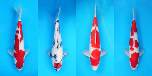 Genjiro.png