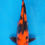 Thumbnail: Hi Utsuri - 50cm - Sansai