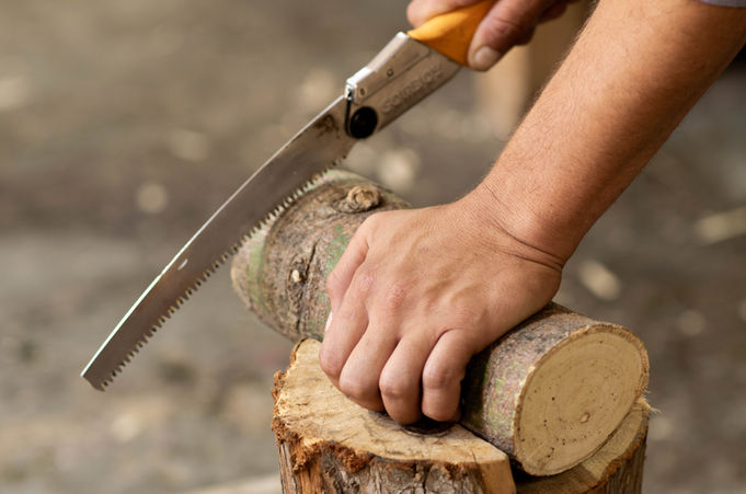 Copy of Copy of DSC_0473.jpg