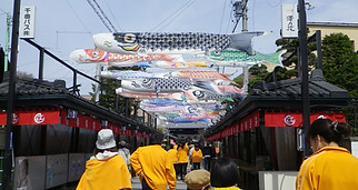 IMGP0029.JPG