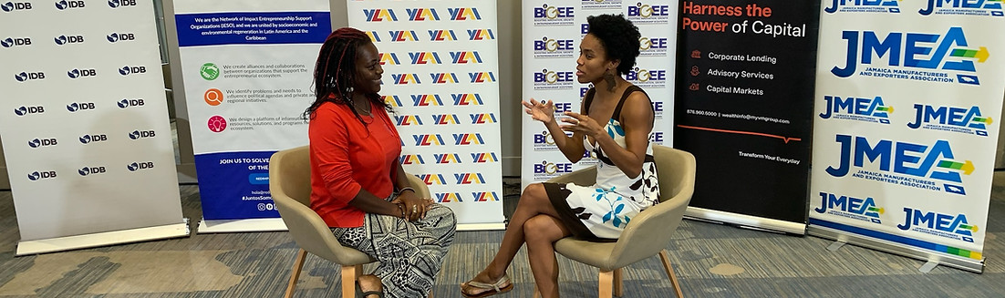 Zahra Henry, Founder and Director of ZLHCareers, at conference