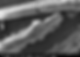 SEM Image 2 of Dis-In-Cel