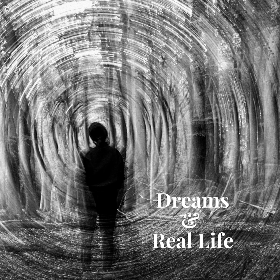 Silhouetted person stands in a blurred black-and-white forest with the text Dreams & Real Life.
